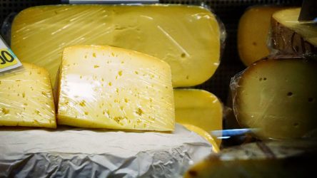 Käse_2